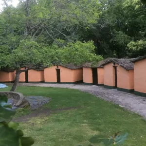Despide la primavera y da la bienvenida al verano!