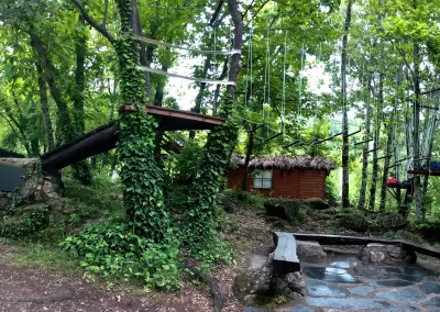 Circuito en los árboles