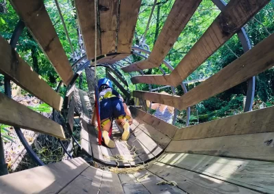 Túnel del circuito en los árboles