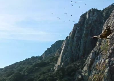 Parque Nacional de Monfragüe